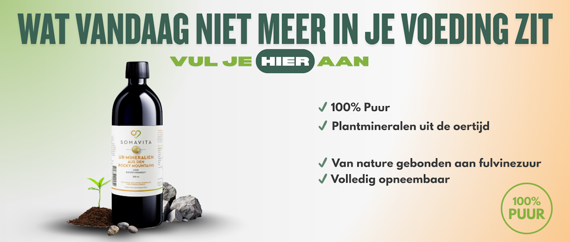 hero-header-optimised